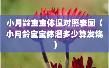 小月龄宝宝体温对照表图（小月龄宝宝体温多少算发烧）