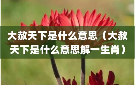 大赦天下是什么意思（大赦天下是什么意思解一生肖）