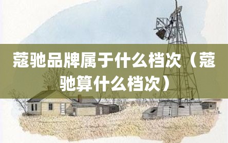 蔻驰品牌属于什么档次（蔻驰算什么档次）