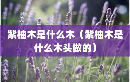 紫柚木是什么木（紫柚木是什么木头做的）