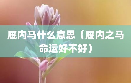 厩内马什么意思（厩内之马命运好不好）