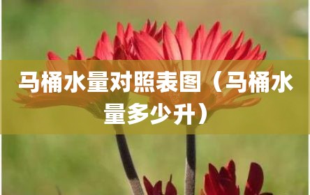 马桶水量对照表图（马桶水量多少升）