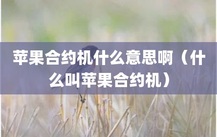 苹果合约机什么意思啊（什么叫苹果合约机）