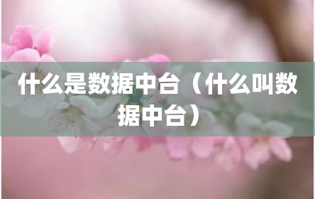 什么是数据中台（什么叫数据中台）