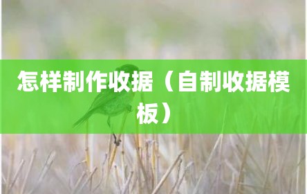 怎样制作收据（自制收据模板）