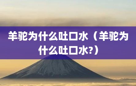 羊驼为什么吐口水（羊驼为什么吐口水?）