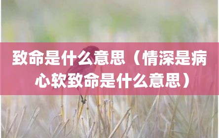 致命是什么意思（情深是病 心软致命是什么意思）