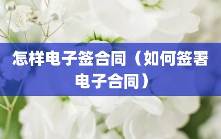 怎样电子签合同（如何签署电子合同）