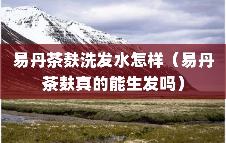 易丹茶麸洗发水怎样（易丹茶麸真的能生发吗）