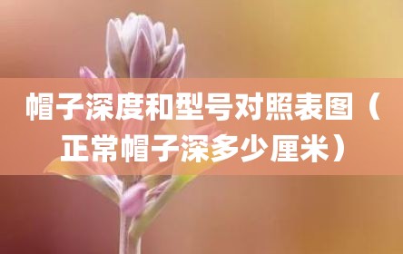 帽子深度和型号对照表图（正常帽子深多少厘米）