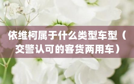 依维柯属于什么类型车型（交警认可的客货两用车）
