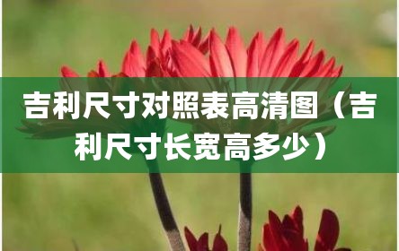 吉利尺寸对照表高清图（吉利尺寸长宽高多少）