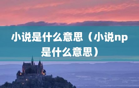 小说是什么意思（小说np是什么意思）
