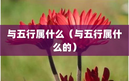 与五行属什么（与五行属什么的）