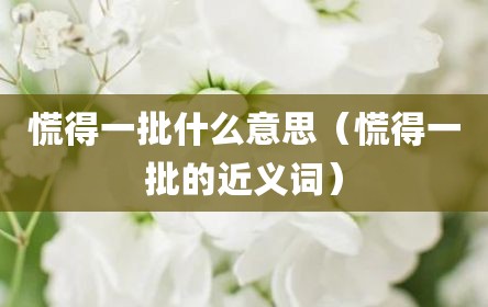 慌得一批什么意思（慌得一批的近义词）