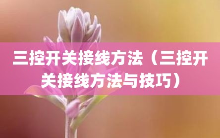 三控开关接线方法（三控开关接线方法与技巧）