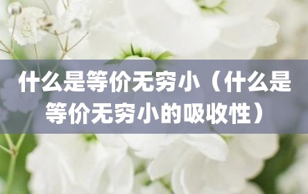 什么是等价无穷小（什么是等价无穷小的吸收性）