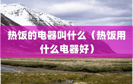 热饭的电器叫什么（热饭用什么电器好）