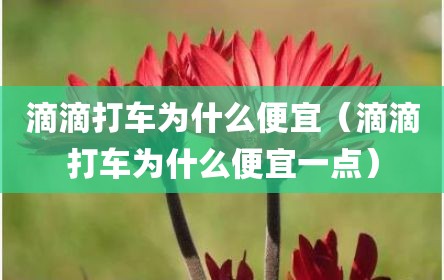 滴滴打车为什么便宜（滴滴打车为什么便宜一点）