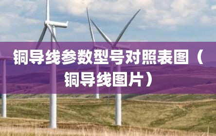 铜导线参数型号对照表图（铜导线图片）
