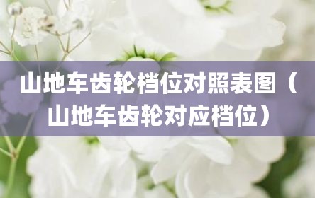山地车齿轮档位对照表图（山地车齿轮对应档位）