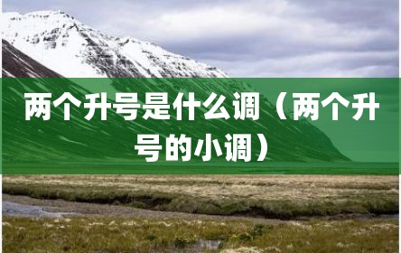 两个升号是什么调（两个升号的小调）