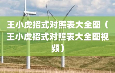 王小虎招式对照表大全图（王小虎招式对照表大全图视频）