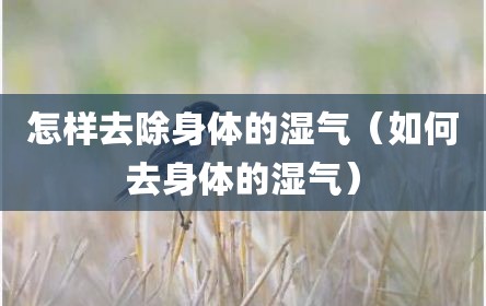 怎样去除身体的湿气（如何去身体的湿气）