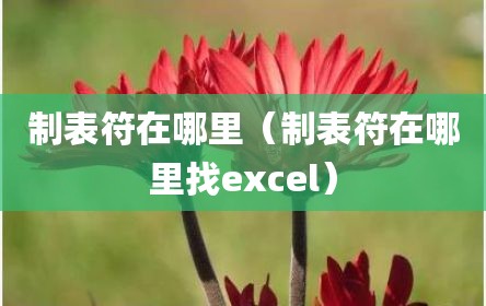 制表符在哪里（制表符在哪里找excel）