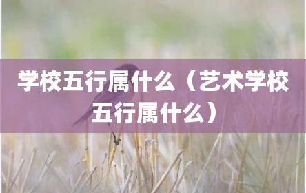 学校五行属什么（艺术学校五行属什么）