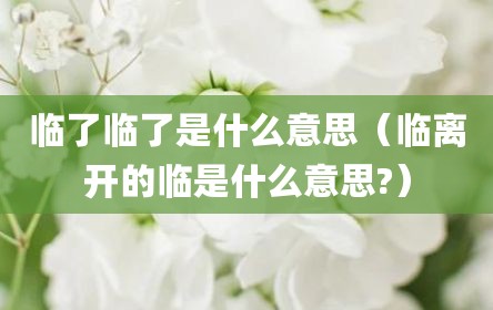 临了临了是什么意思（临离开的临是什么意思?）