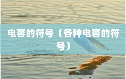 电容的符号（各种电容的符号）