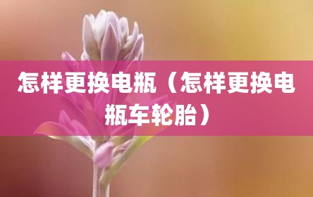 怎样更换电瓶（怎样更换电瓶车轮胎）