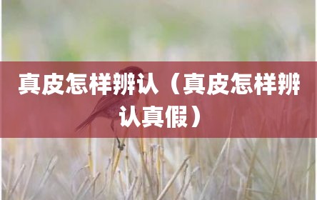 真皮怎样辨认（真皮怎样辨认真假）