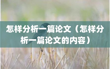 怎样分析一篇论文（怎样分析一篇论文的内容）