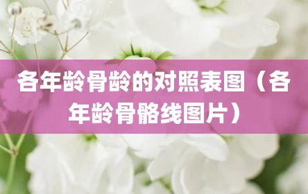 各年龄骨龄的对照表图（各年龄骨骼线图片）