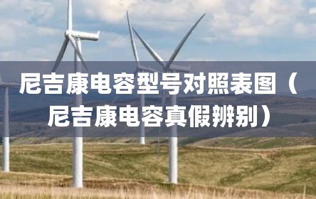 尼吉康电容型号对照表图（尼吉康电容真假辨别）