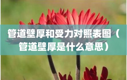 管道壁厚和受力对照表图（管道壁厚是什么意思）