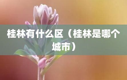 桂林有什么区（桂林是哪个城市）