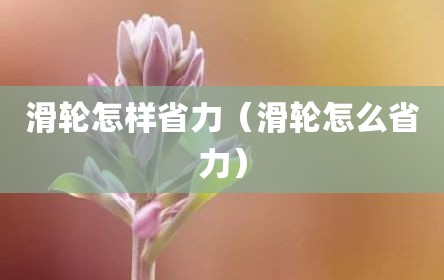 滑轮怎样省力（滑轮怎么省力）