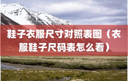 鞋子衣服尺寸对照表图（衣服鞋子尺码表怎么看）