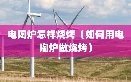 电陶炉怎样烧烤（如何用电陶炉做烧烤）