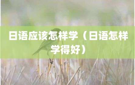 日语应该怎样学（日语怎样学得好）