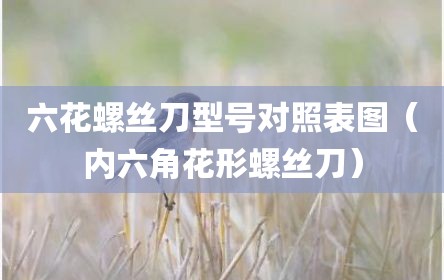 六花螺丝刀型号对照表图（内六角花形螺丝刀）