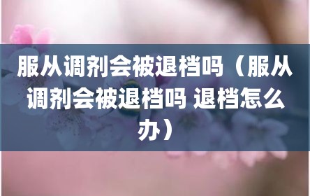 服从调剂会被退档吗（服从调剂会被退档吗 退档怎么办）