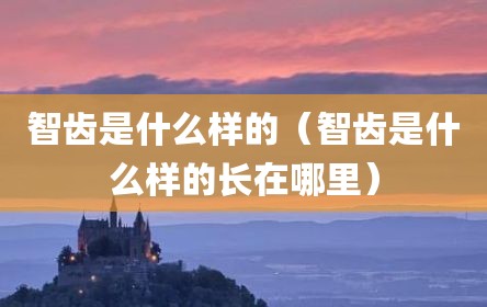 智齿是什么样的（智齿是什么样的长在哪里）