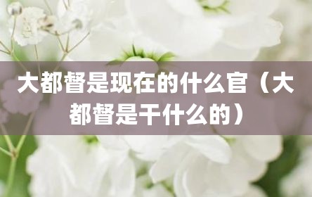 大都督是现在的什么官（大都督是干什么的）