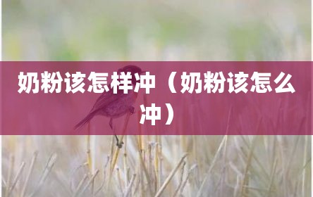 奶粉该怎样冲（奶粉该怎么冲）