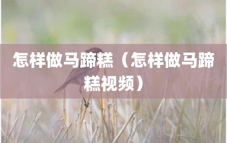 怎样做马蹄糕（怎样做马蹄糕视频）