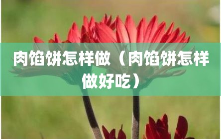 肉馅饼怎样做（肉馅饼怎样做好吃）